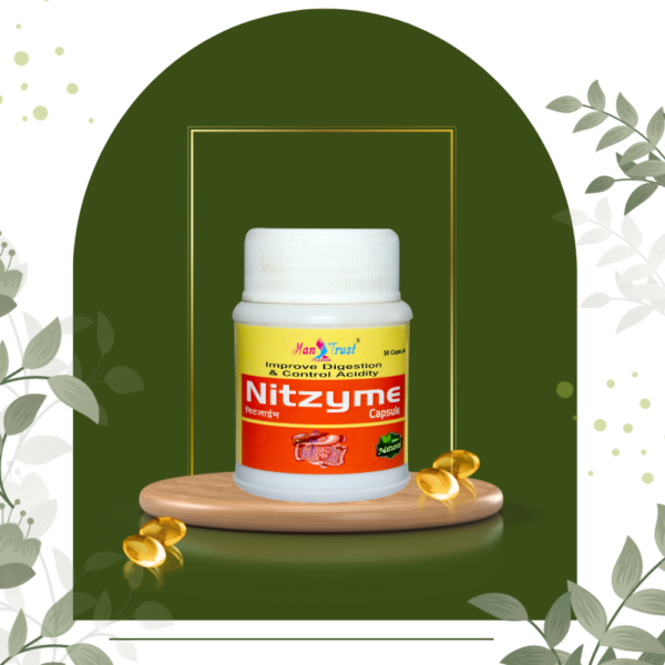 Nitzyme Capsule